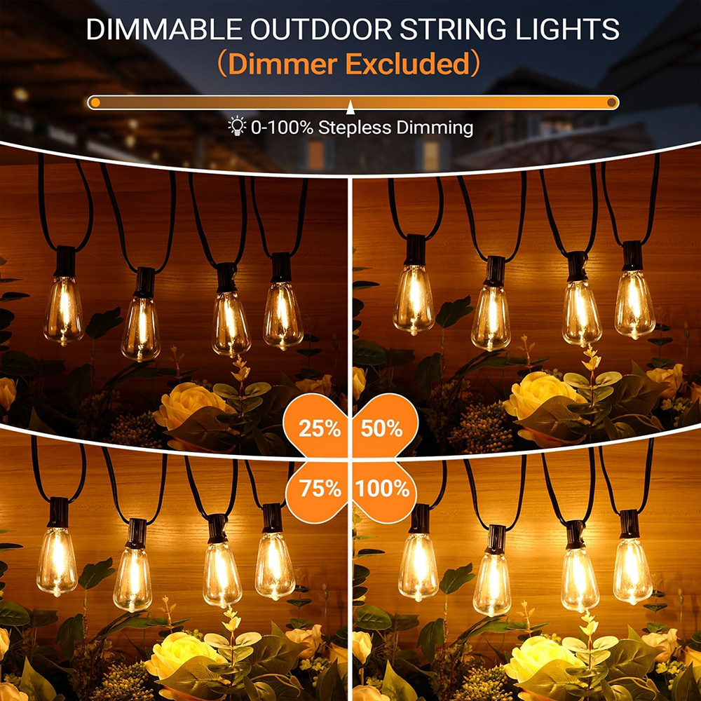 ST38 Festoon 220V LED Globe St - Outdoor Lighting On Fence reseña y precio