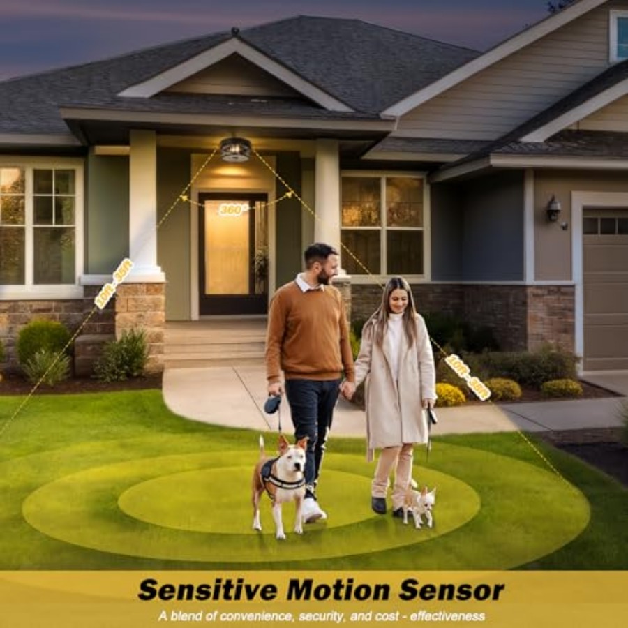 Motion Sensor Outdoor Ceiling  - Outdoor Lighting Black reseña y precio