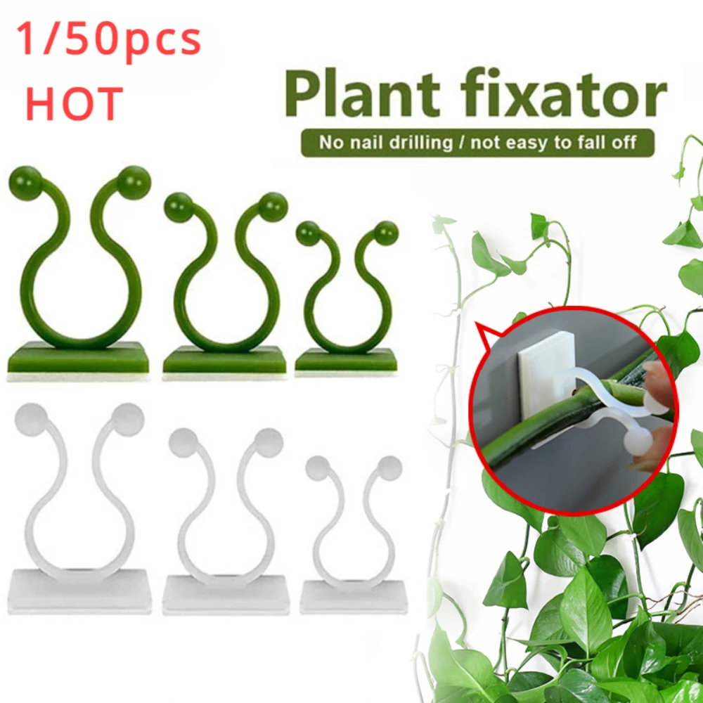 1/30/50Pcs For Garden Accsesor - Outdoor Lighting Traditional reseña y precio