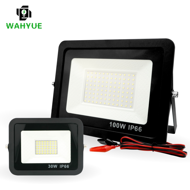 20W 30W 50W 100W DC12V Led Flo - Outdoor Lighting Volt reseña y precio