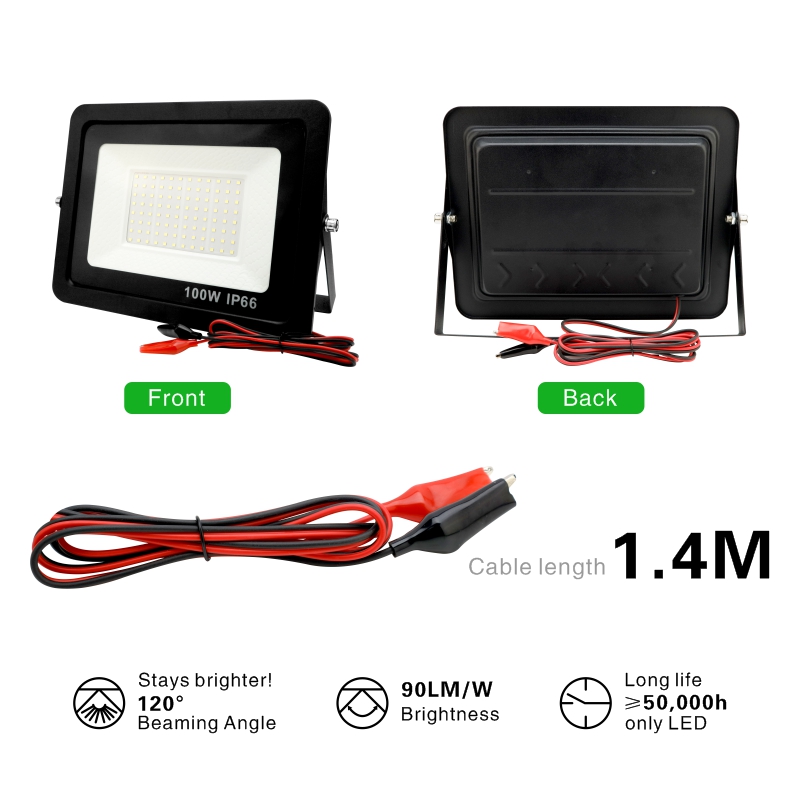 20W 30W 50W 100W DC12V Led Flo - Outdoor Lighting Volt reseña y precio