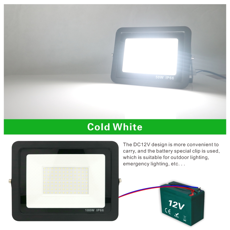 20W 30W 50W 100W DC12V Led Flo - Outdoor Lighting Volt reseña y precio